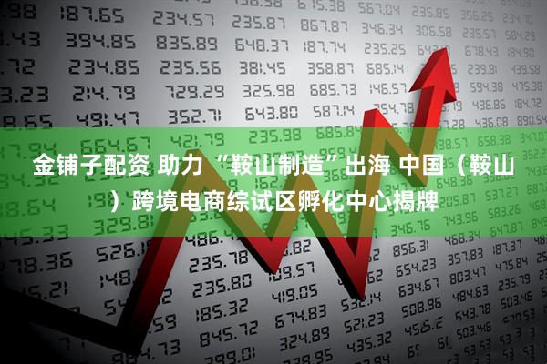 金铺子配资 助力 “鞍山制造”出海 中国（鞍山）跨境电商综试区孵化中心揭牌