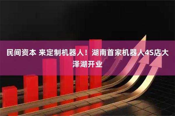 民间资本 来定制机器人！湖南首家机器人4S店大泽湖开业