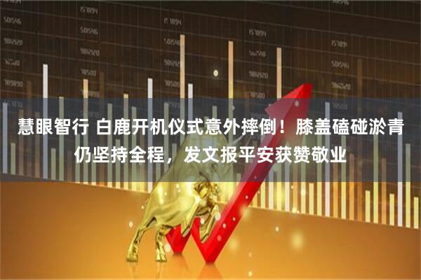 慧眼智行 白鹿开机仪式意外摔倒！膝盖磕碰淤青仍坚持全程，发文报平安获赞敬业